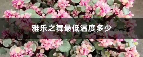 雅乐之舞最低温度多少，怎么安全过冬